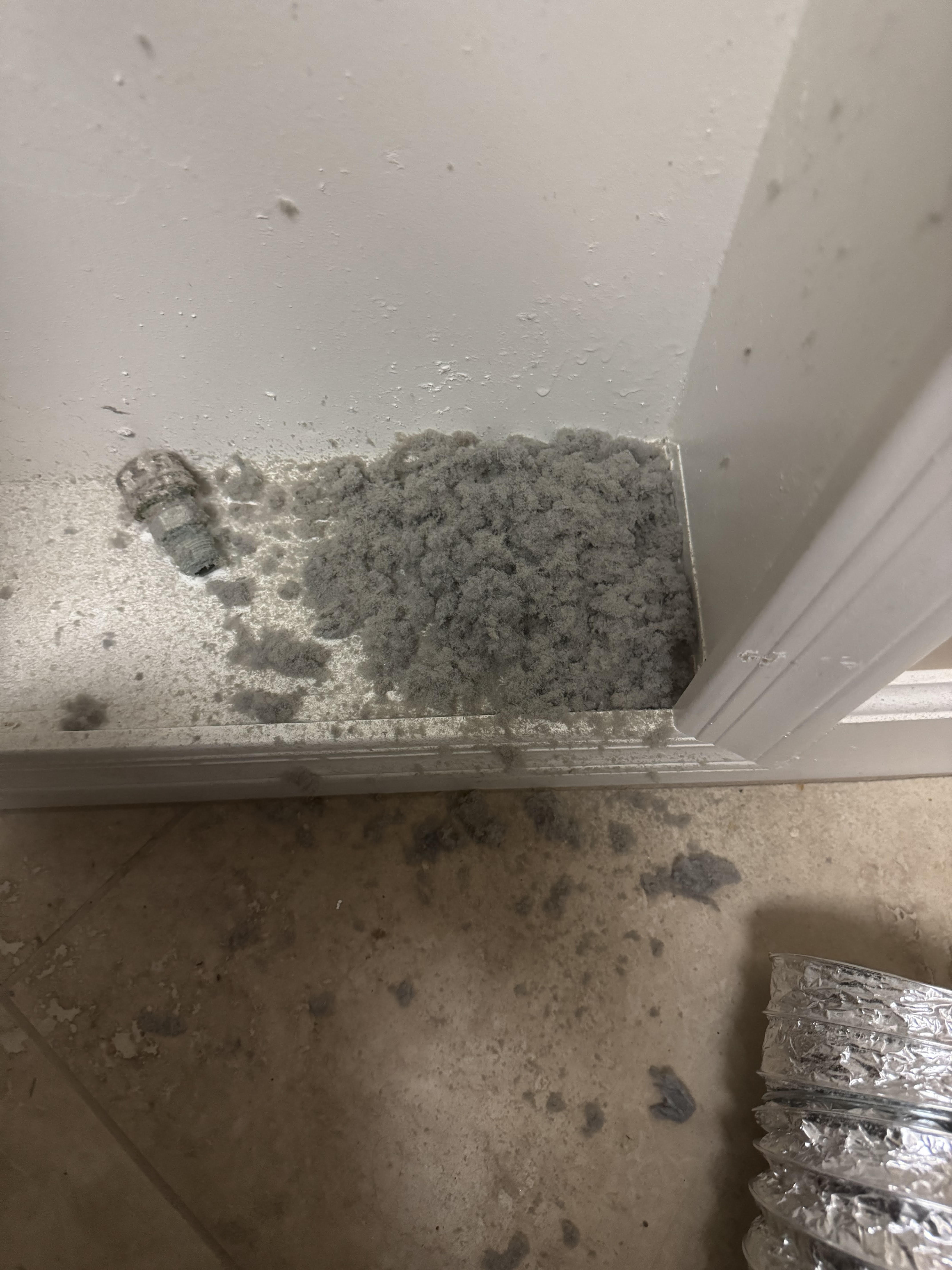 Dryer vent cleaning